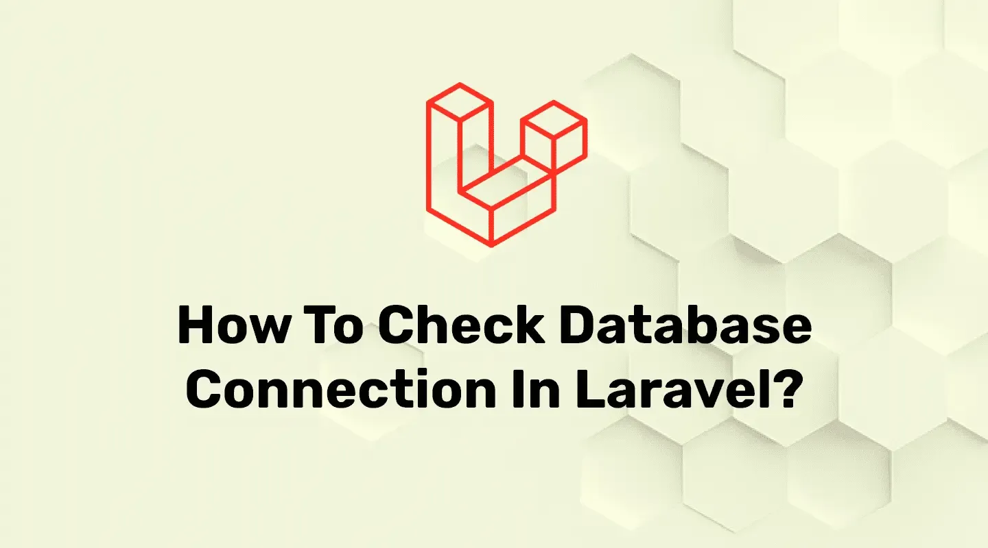 How to check database connection in Laravel
